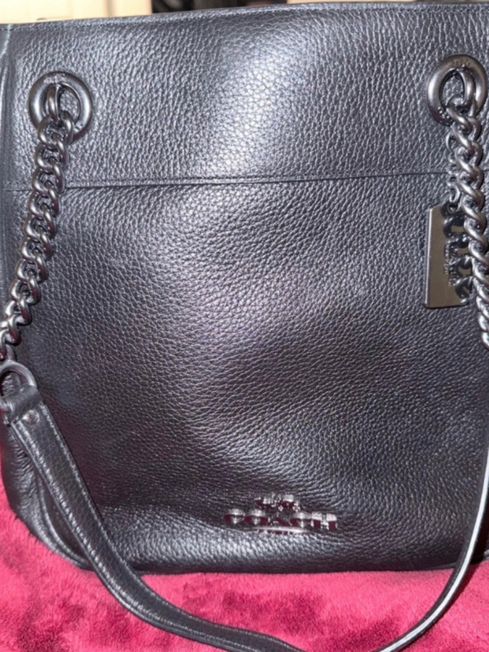 Coach Cammie Chain Crossbody Bucket Bag